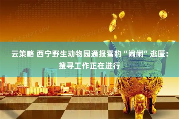 云策略 西宁野生动物园通报雪豹“闹闹”逃匿：搜寻工作正在进行