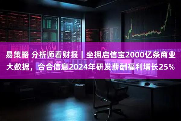 易策略 分析师看财报｜坐拥启信宝2000亿条商业大数据，合合信息2024年研发薪酬福利增长25%