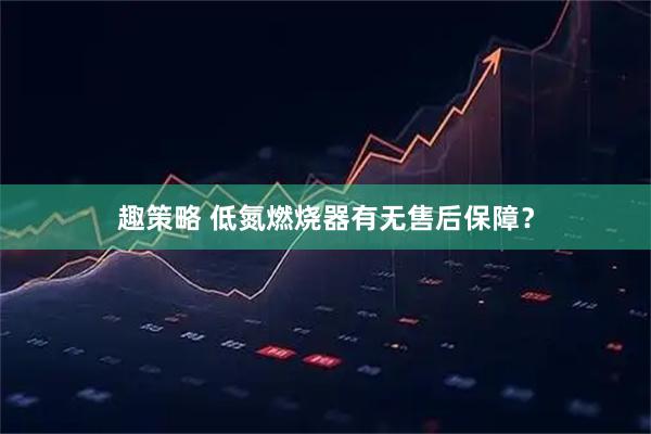 趣策略 低氮燃烧器有无售后保障？
